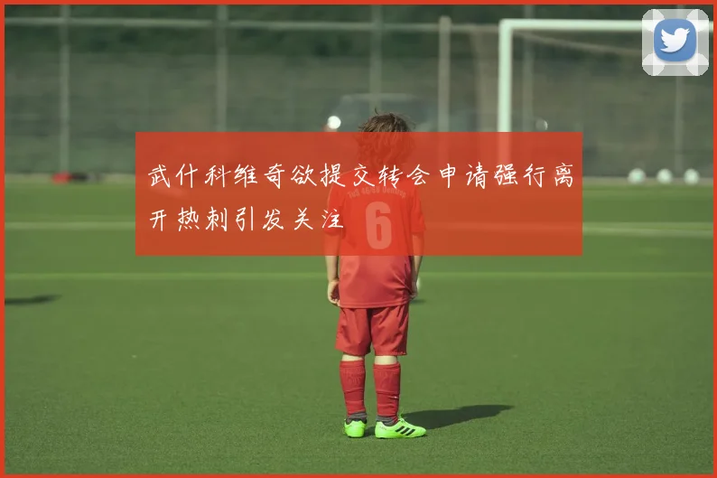 武什科维奇欲提交转会申请强行离开热刺引发关注