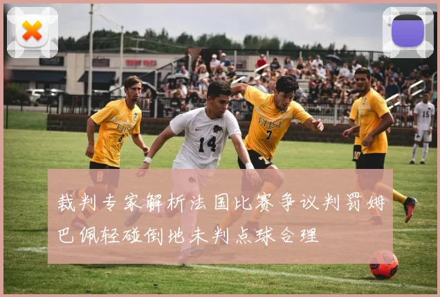 裁判专家解析法国比赛争议判罚姆巴佩轻碰倒地未判点球合理