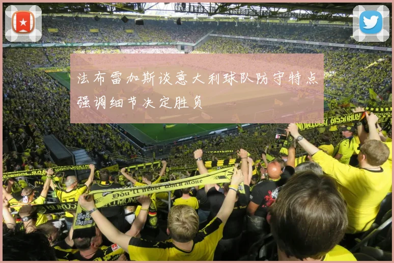 法布雷加斯谈意大利球队防守特点强调细节决定胜负